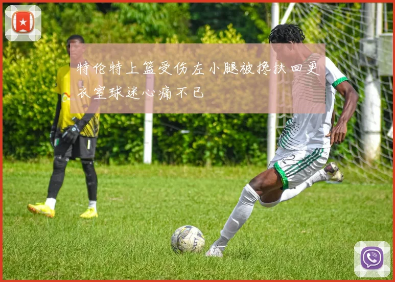特伦特上篮受伤左小腿被搀扶回更衣室球迷心痛不已