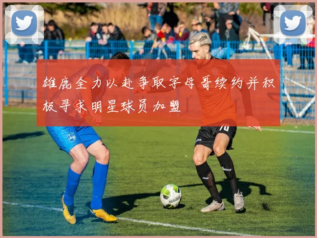 雄鹿全力以赴争取字母哥续约并积极寻求明星球员加盟