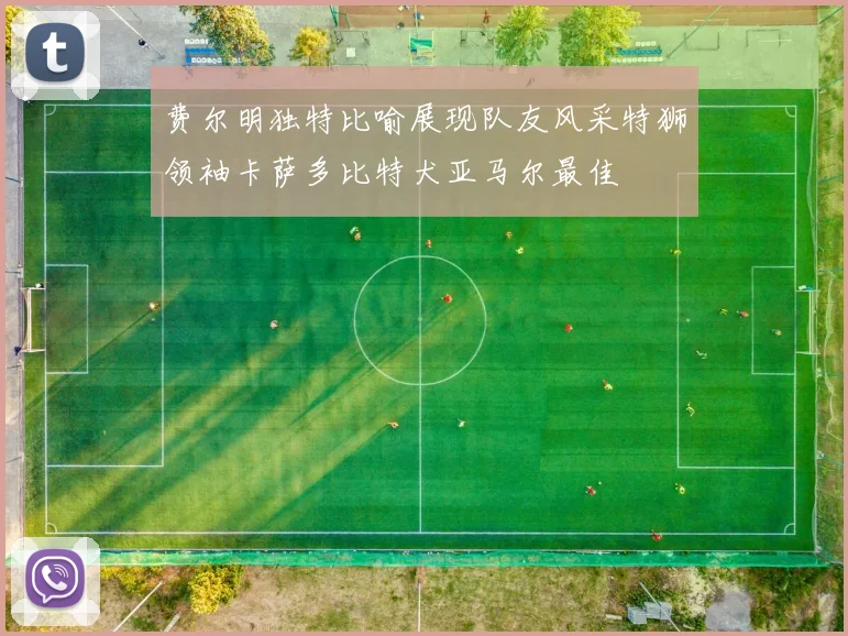 费尔明独特比喻展现队友风采特狮领袖卡萨多比特犬亚马尔最佳